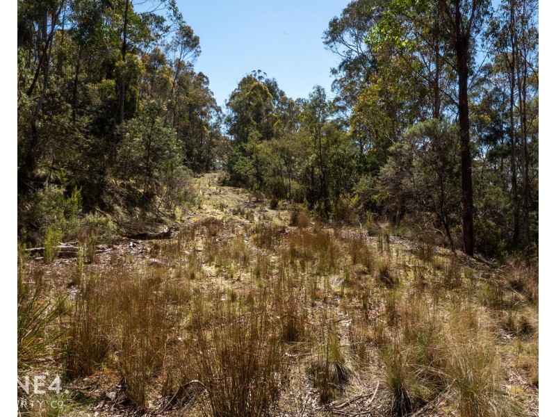 261 Moogara Road, Moogara TAS 7140