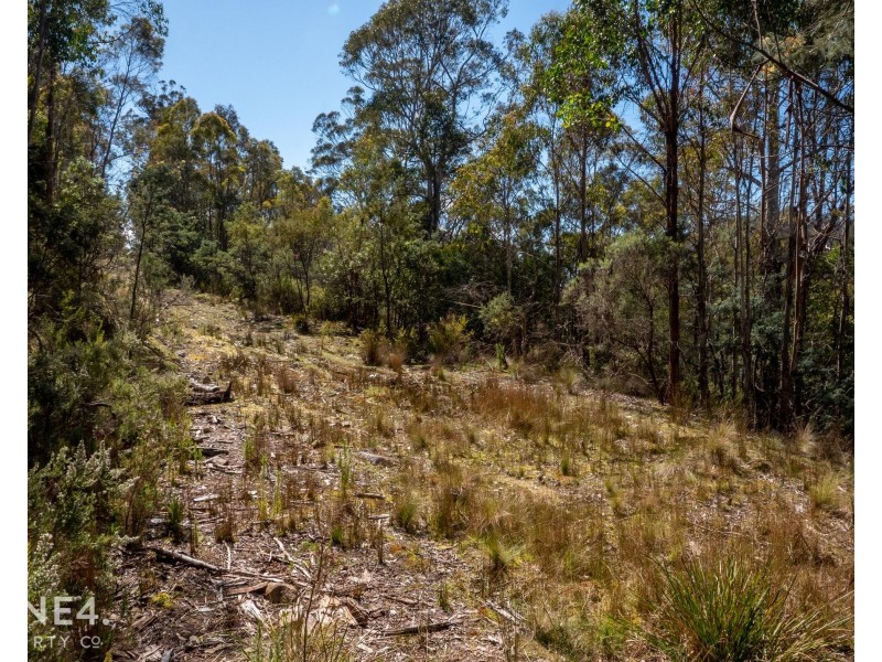 261 Moogara Road, Moogara TAS 7140
