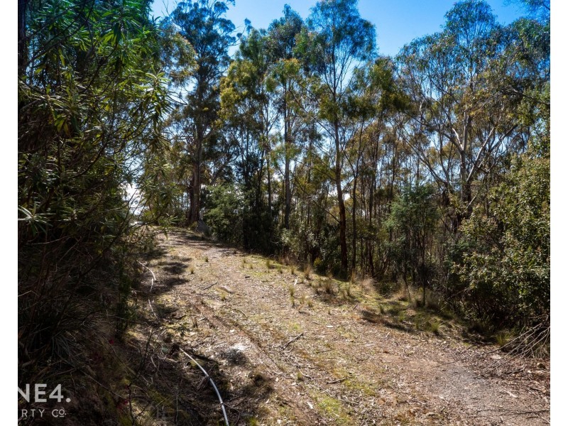 261 Moogara Road, Moogara TAS 7140