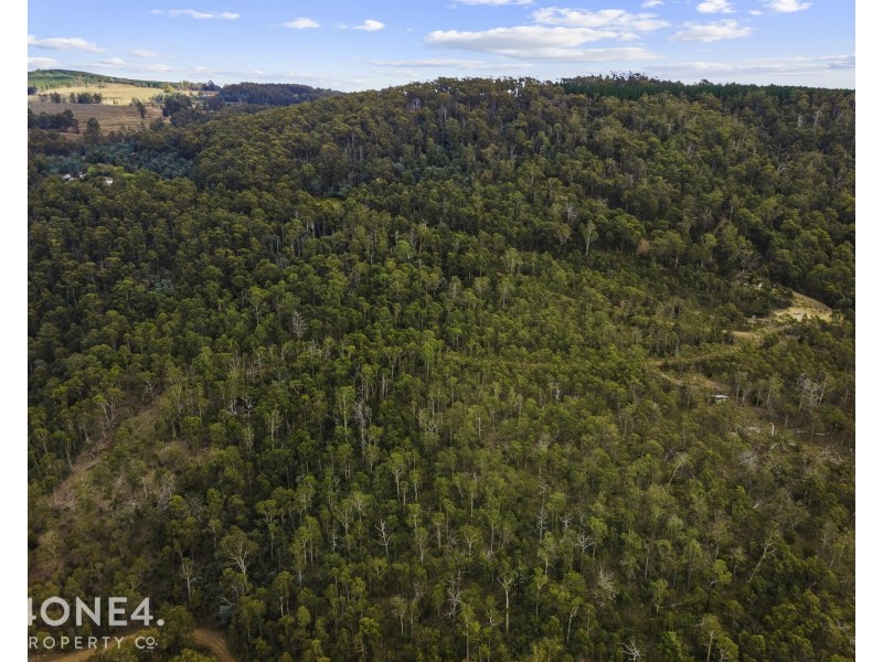 261 Moogara Road, Moogara TAS 7140