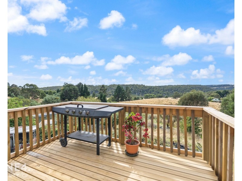 28 Woolridge Road, Rhyndaston TAS 7120