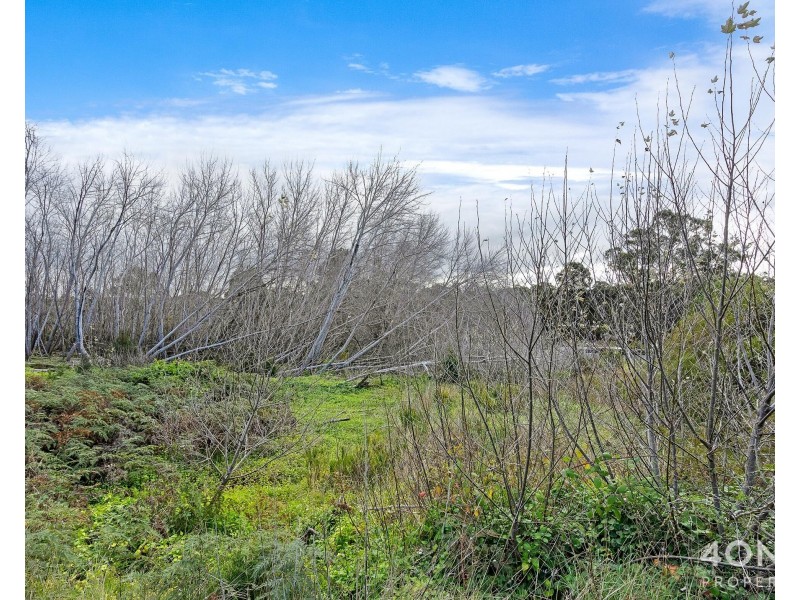 27 Main Road, Pioneer TAS 7264
