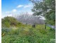 27 Main Road, Pioneer TAS 7264
