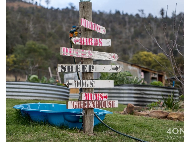 68 Tubbs Road, Molesworth TAS 7140