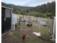 68 Tubbs Road, Molesworth TAS 7140