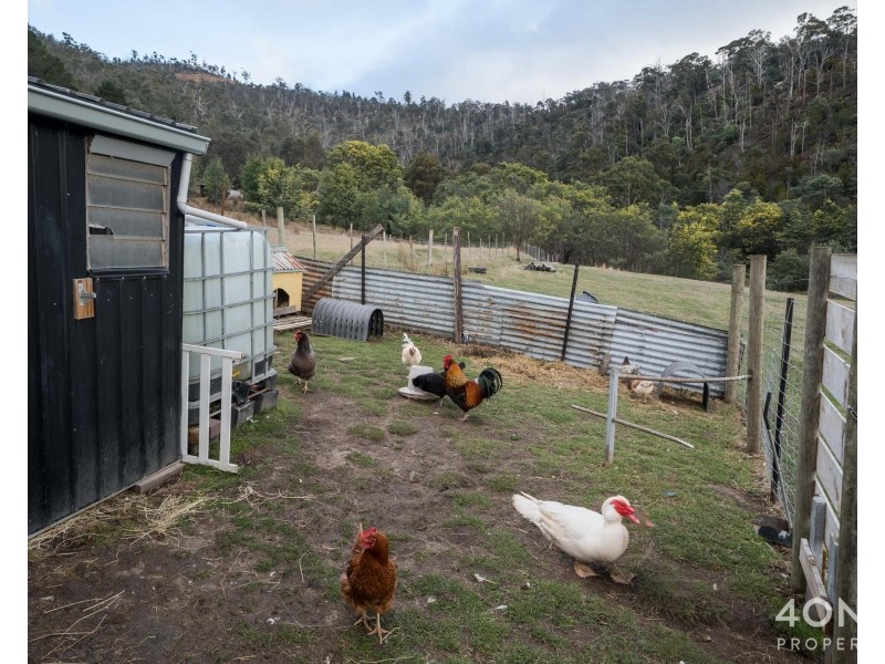 68 Tubbs Road, Molesworth TAS 7140