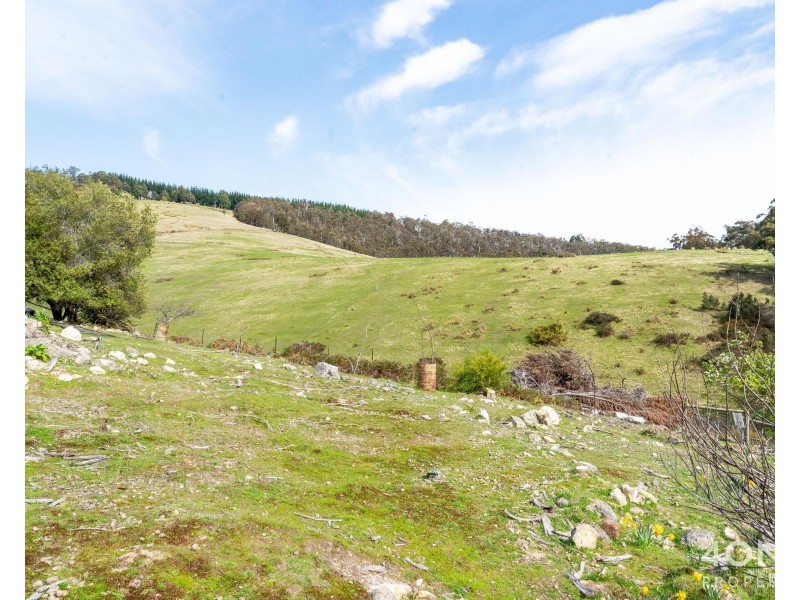 64 Fletchers Road, Judbury TAS 7109