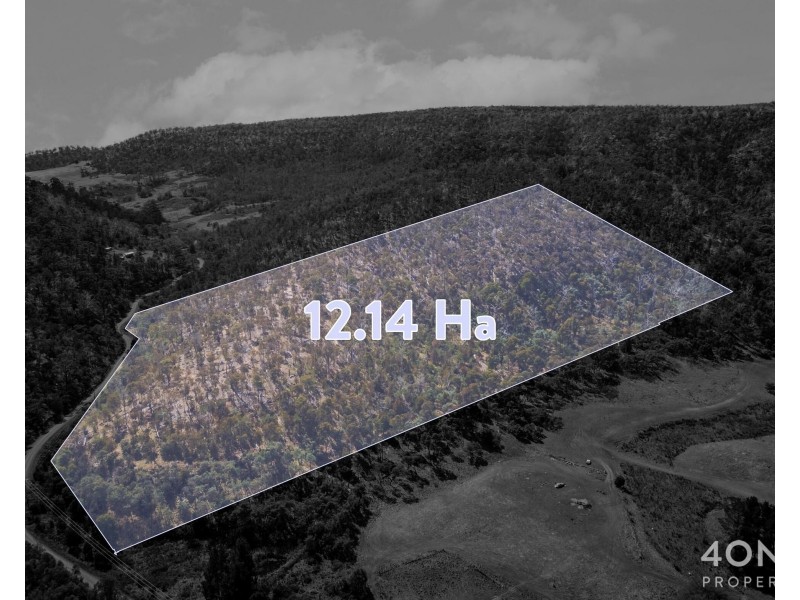 608 Cockatoo Gully Road, Elderslie TAS 7030