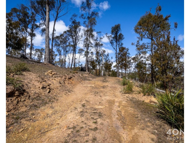 608 Cockatoo Gully Road, Elderslie TAS 7030