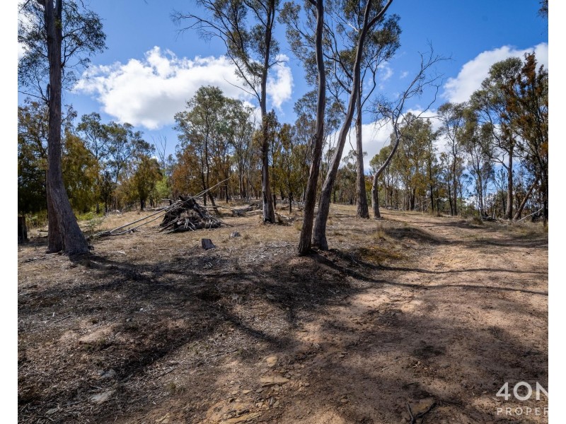 608 Cockatoo Gully Road, Elderslie TAS 7030