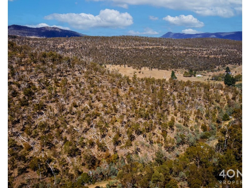 608 Cockatoo Gully Road, Elderslie TAS 7030