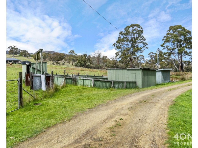 161 Daniels Road, Magra TAS 7140
