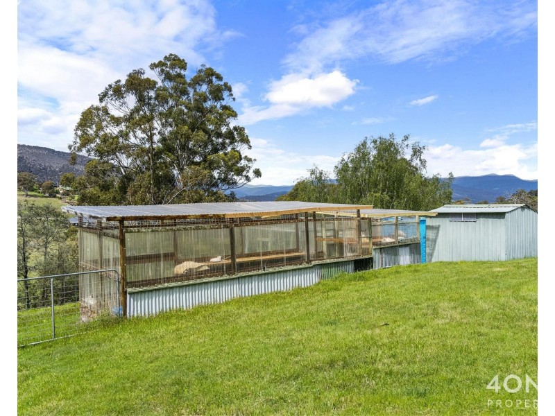 161 Daniels Road, Magra TAS 7140