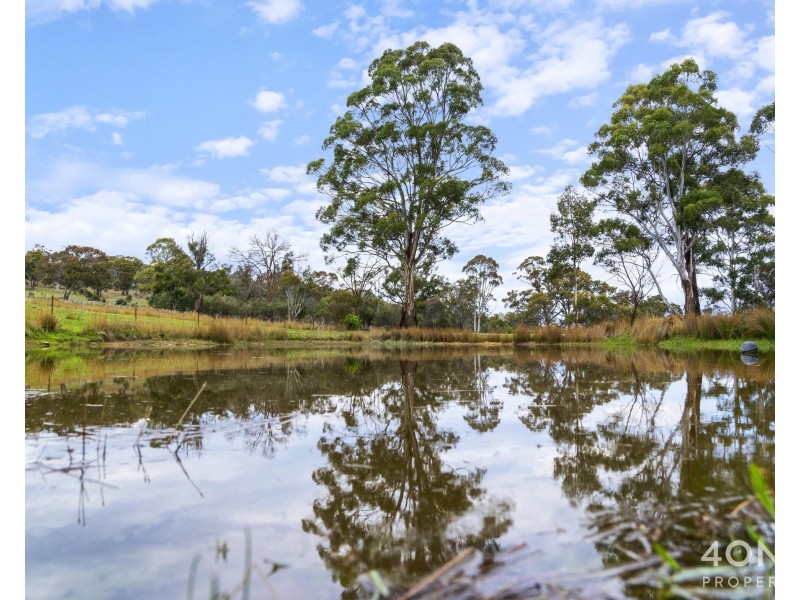 161 Daniels Road, Magra TAS 7140