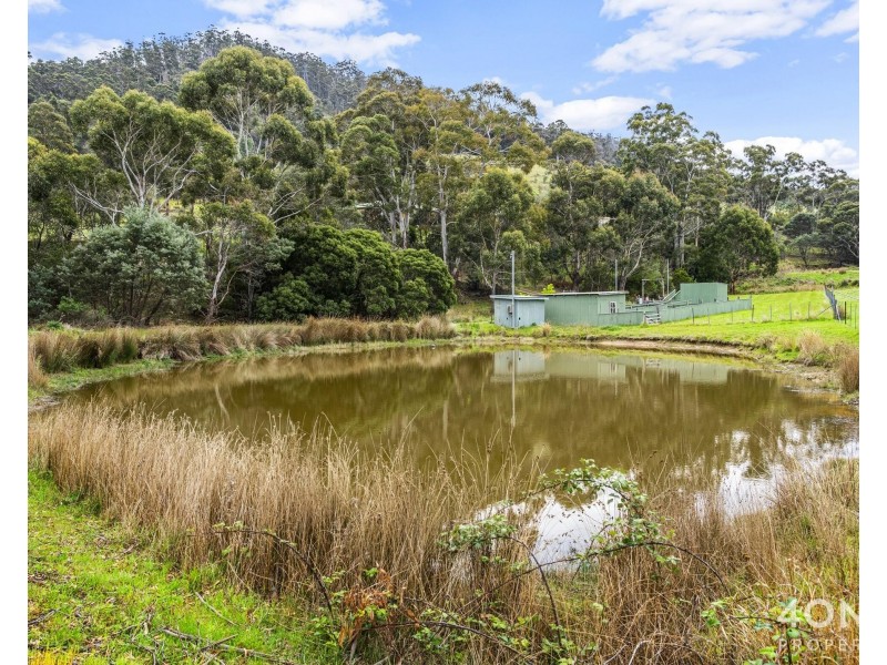 161 Daniels Road, Magra TAS 7140