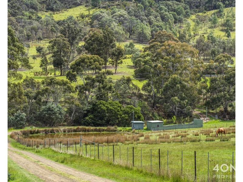 161 Daniels Road, Magra TAS 7140