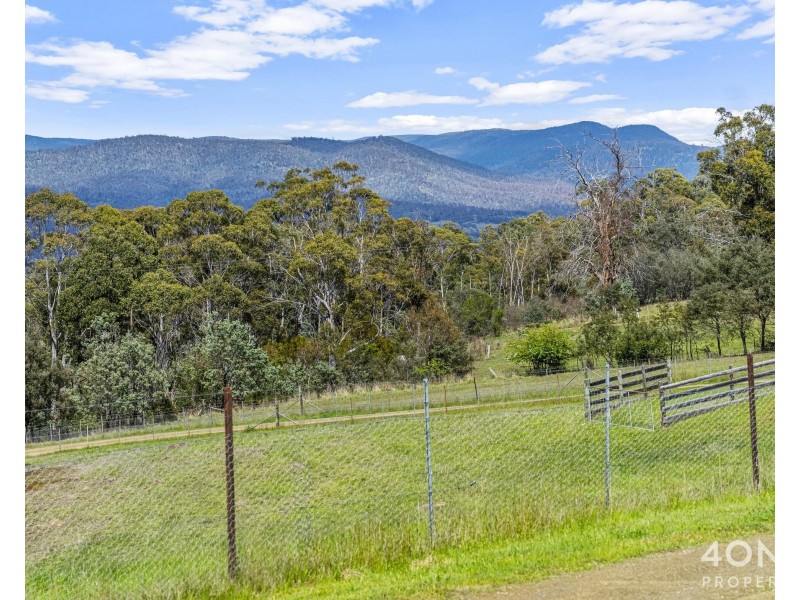 161 Daniels Road, Magra TAS 7140