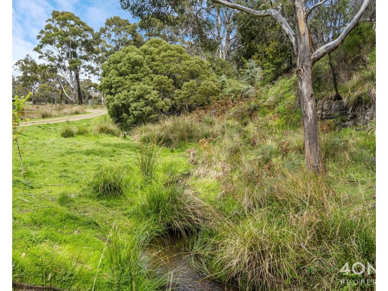 161 Daniels Road, Magra TAS 7140