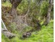 161 Daniels Road, Magra TAS 7140
