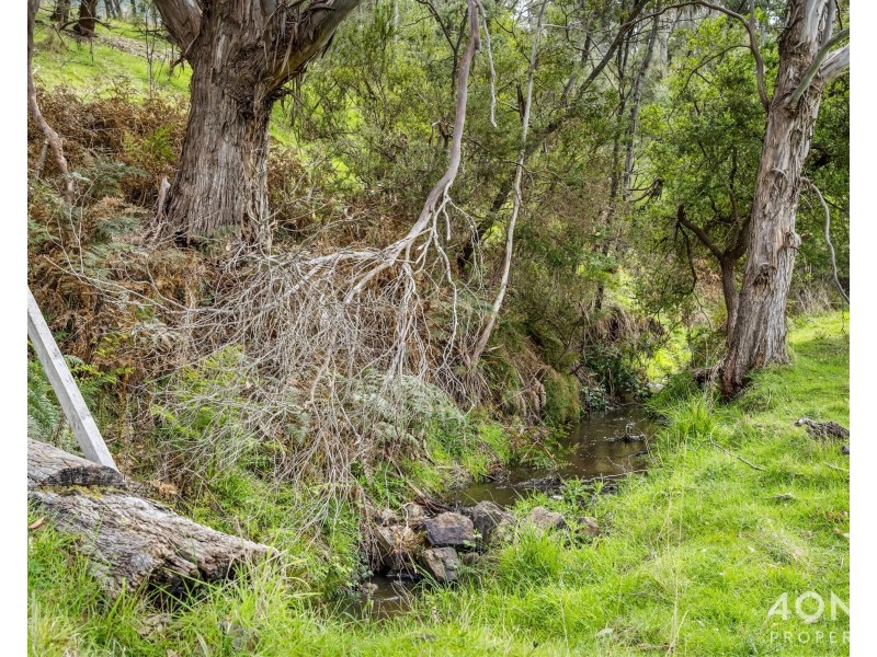161 Daniels Road, Magra TAS 7140