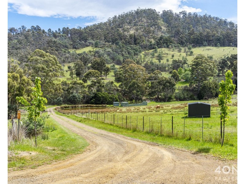 161 Daniels Road, Magra TAS 7140