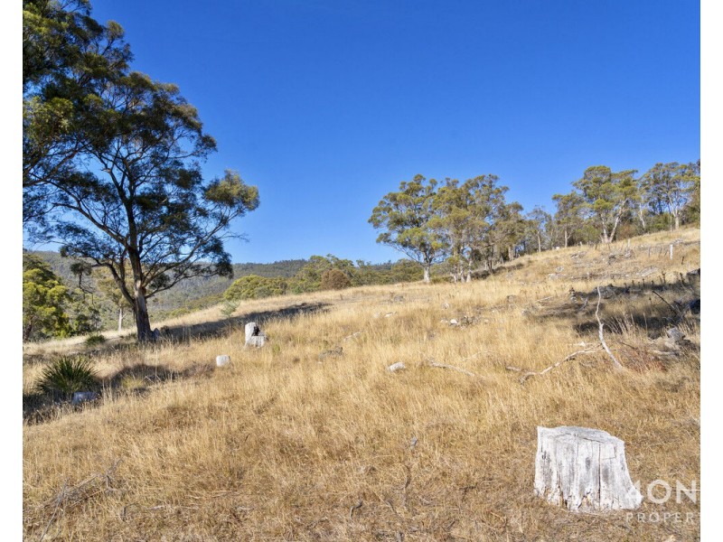 5 Bridge Road, Westerway TAS 7140
