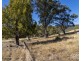 5 Bridge Road, Westerway TAS 7140