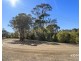 5 Bridge Road, Westerway TAS 7140
