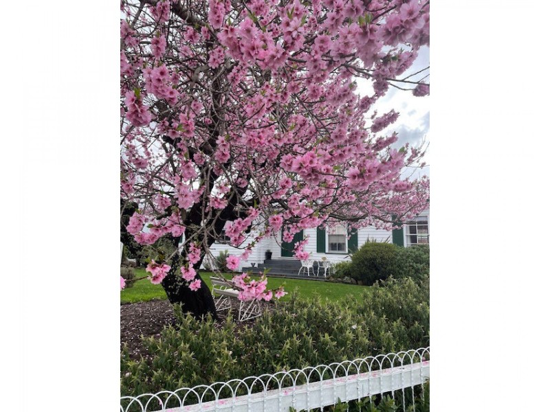 30 Marlborough Street, Oatlands TAS 7120