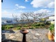 49 Proctors Road, Dynnyrne TAS 7005