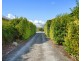 1/1b Elwick Road, Glenorchy TAS 7010