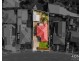 79 Renfrew Circle, Goodwood TAS 7010