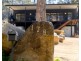 178 Old Jetty Road, Eaglehawk Neck TAS 7179