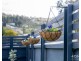 1/8A Beaumont Road, Lenah Valley TAS 7008