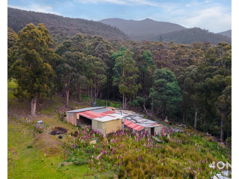 279 Mount Hull Road, Collinsvale TAS 7012