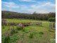 279 Mount Hull Road, Collinsvale TAS 7012