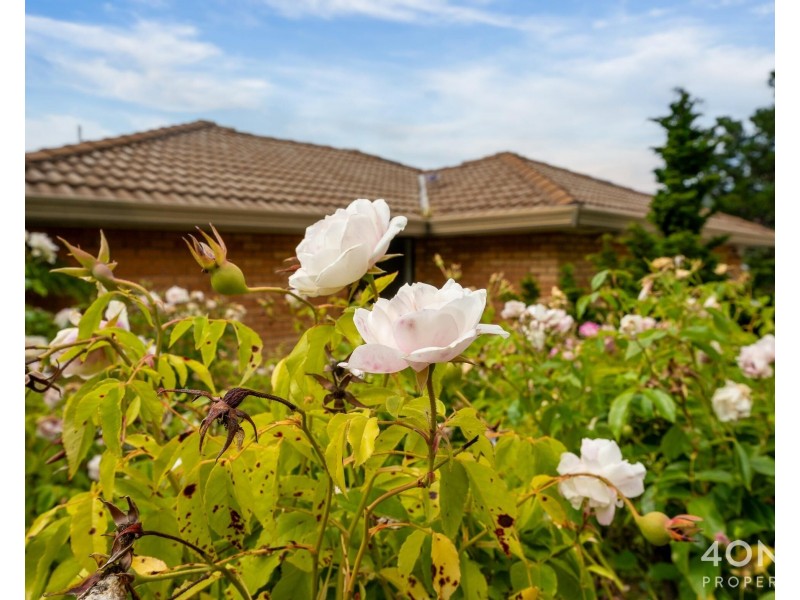 1/11 Alwyn Road, Lenah Valley TAS 7008