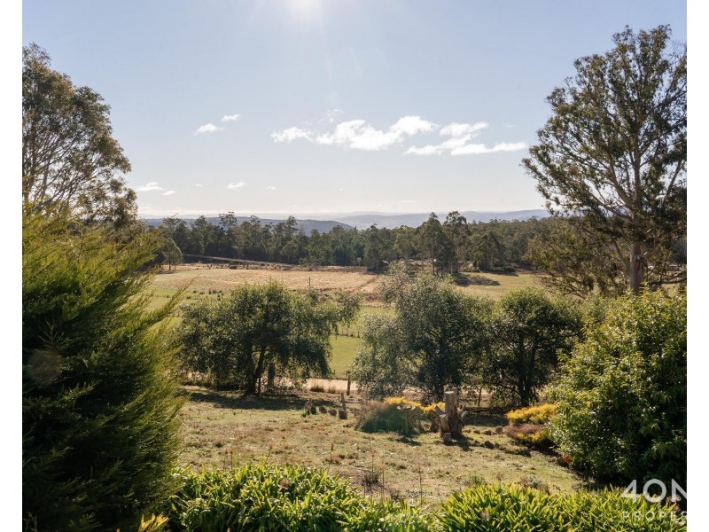 617 Mount Lloyd Road, Mount Lloyd TAS 7140