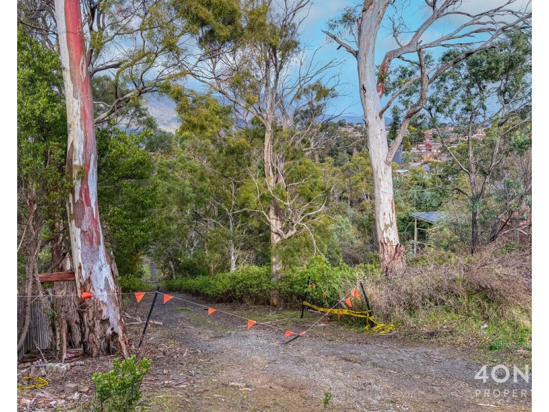 194 Springfield Avenue, West Moonah TAS 7009