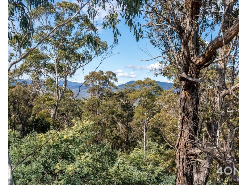 1380 Bluff Road, Elderslie TAS 7030