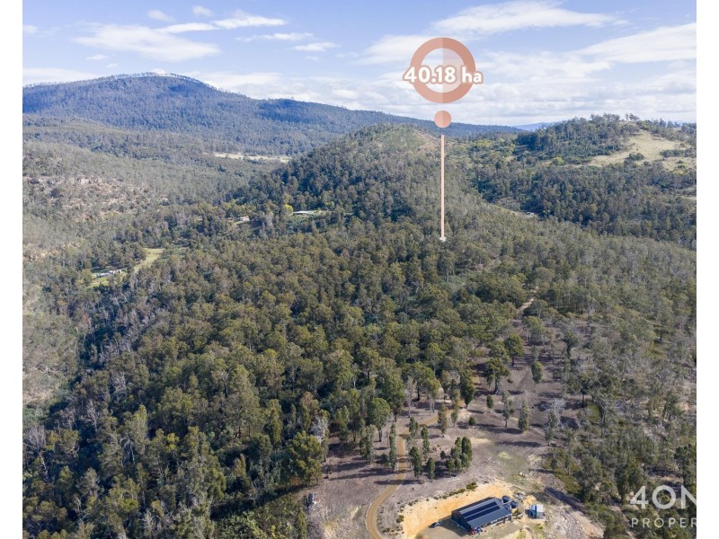 1380 Bluff Road, Elderslie TAS 7030