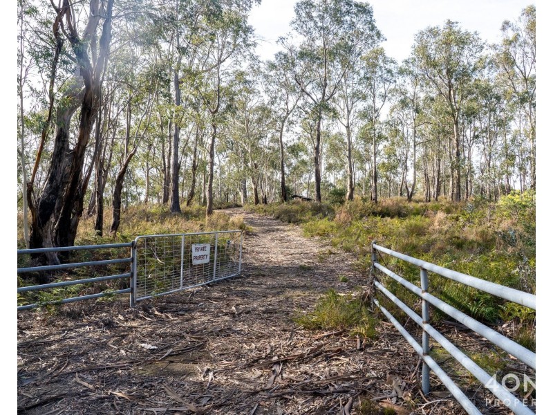 1380 Bluff Road, Elderslie TAS 7030
