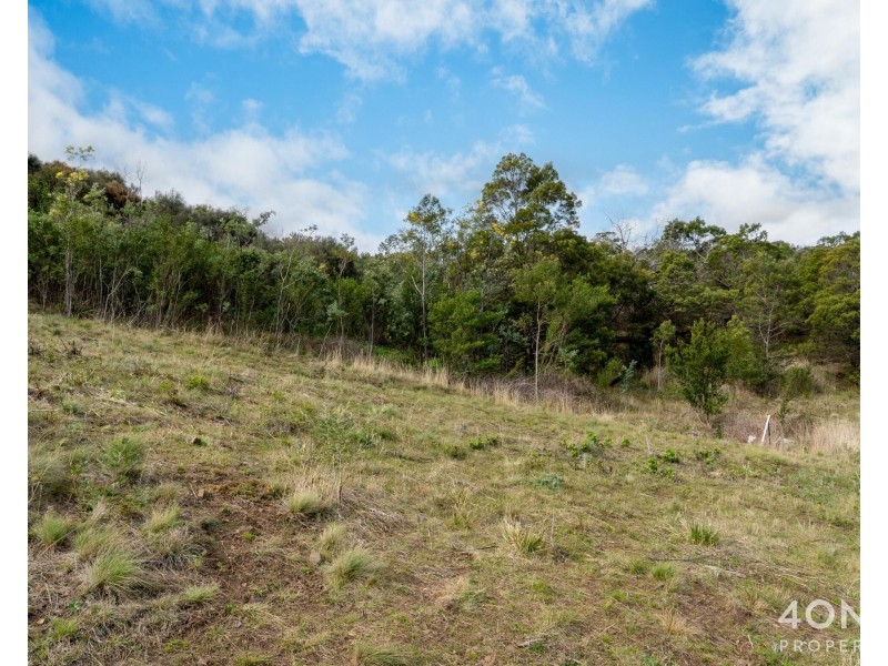 31 Shelmore Drive, Old Beach TAS 7017