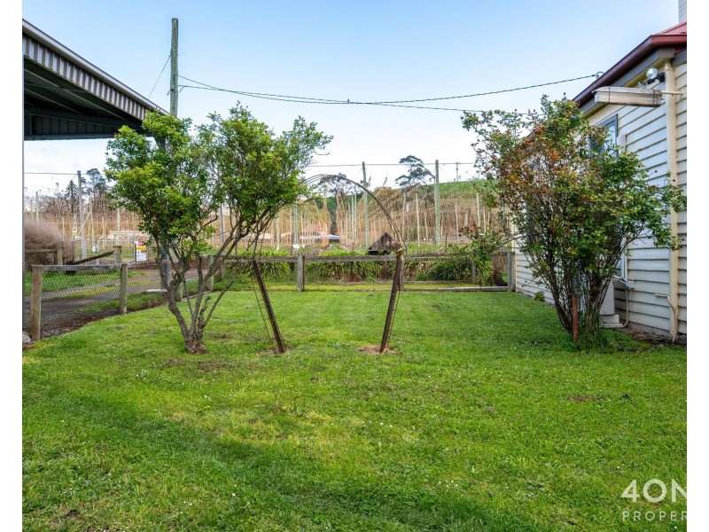 439 Gordon River Road, Bushy Park TAS 7140