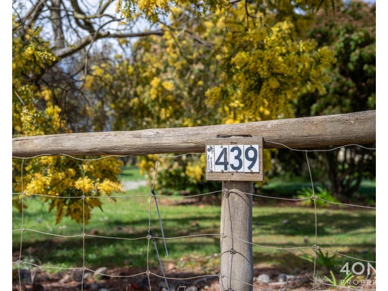 439 Gordon River Road, Bushy Park TAS 7140
