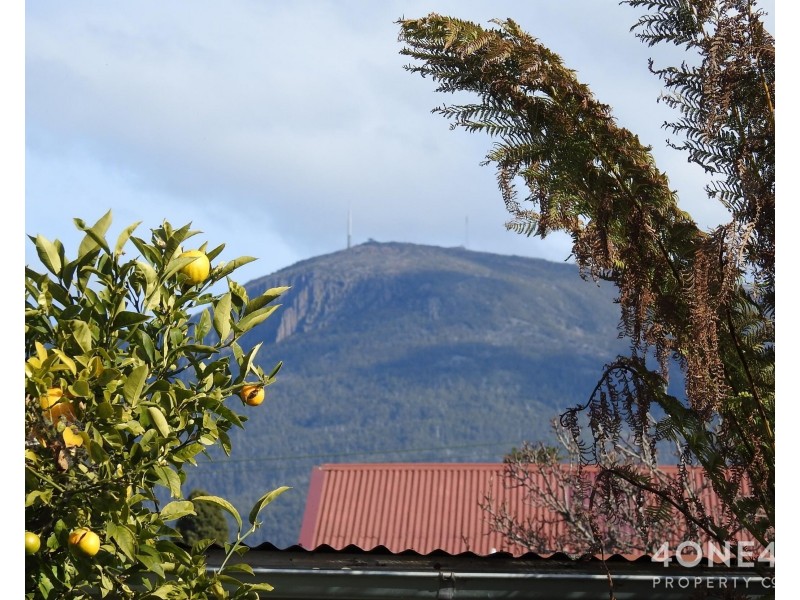 8 Mercer Street, New Town TAS 7008