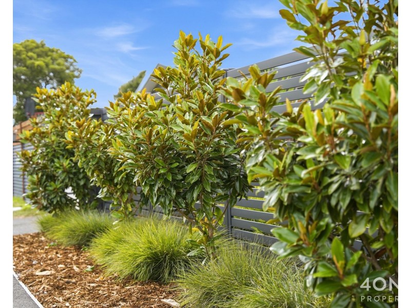 1/15 Terrina Street, Lauderdale TAS 7021