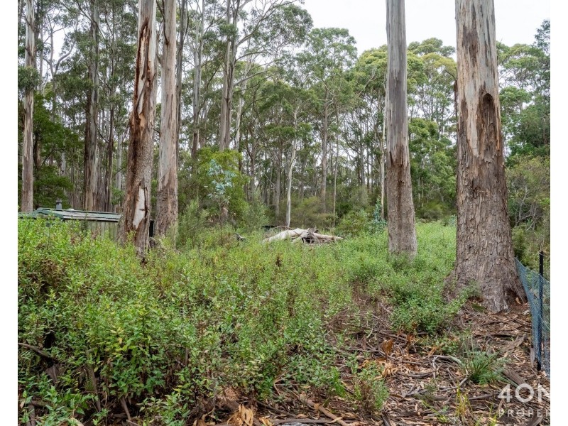 334 Blowhole Road, Eaglehawk Neck TAS 7179