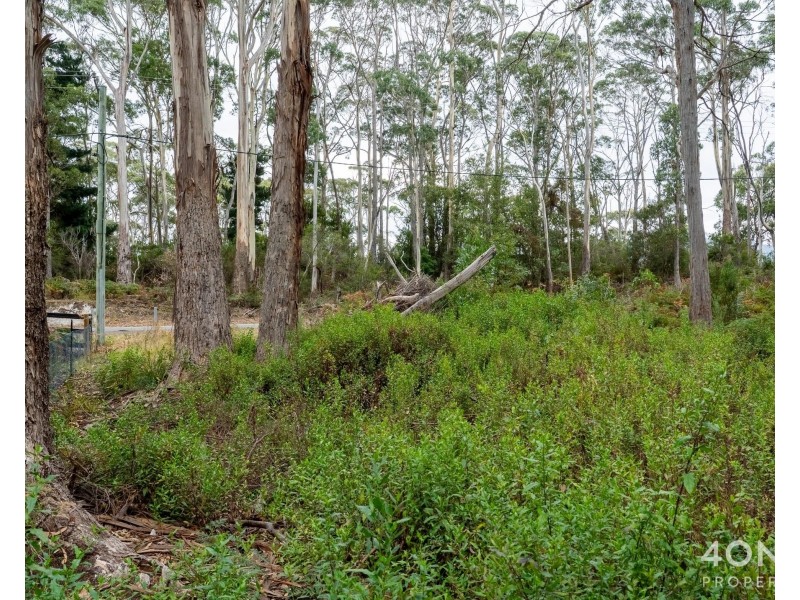 334 Blowhole Road, Eaglehawk Neck TAS 7179