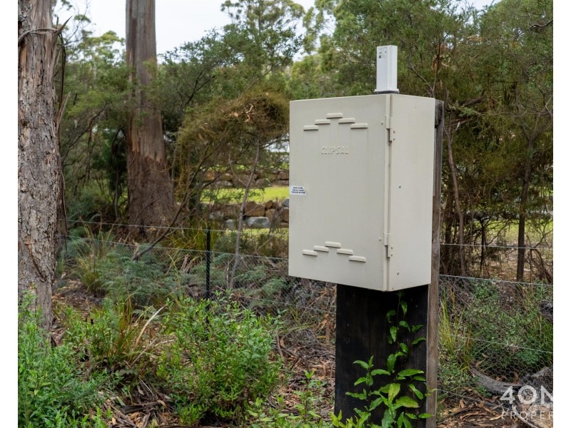 334 Blowhole Road, Eaglehawk Neck TAS 7179